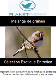 PA-melange-oiseaux-exotiques9.jpg